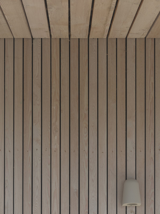 MSAP Helyer Davies Nutbourne DSCF0883 copy